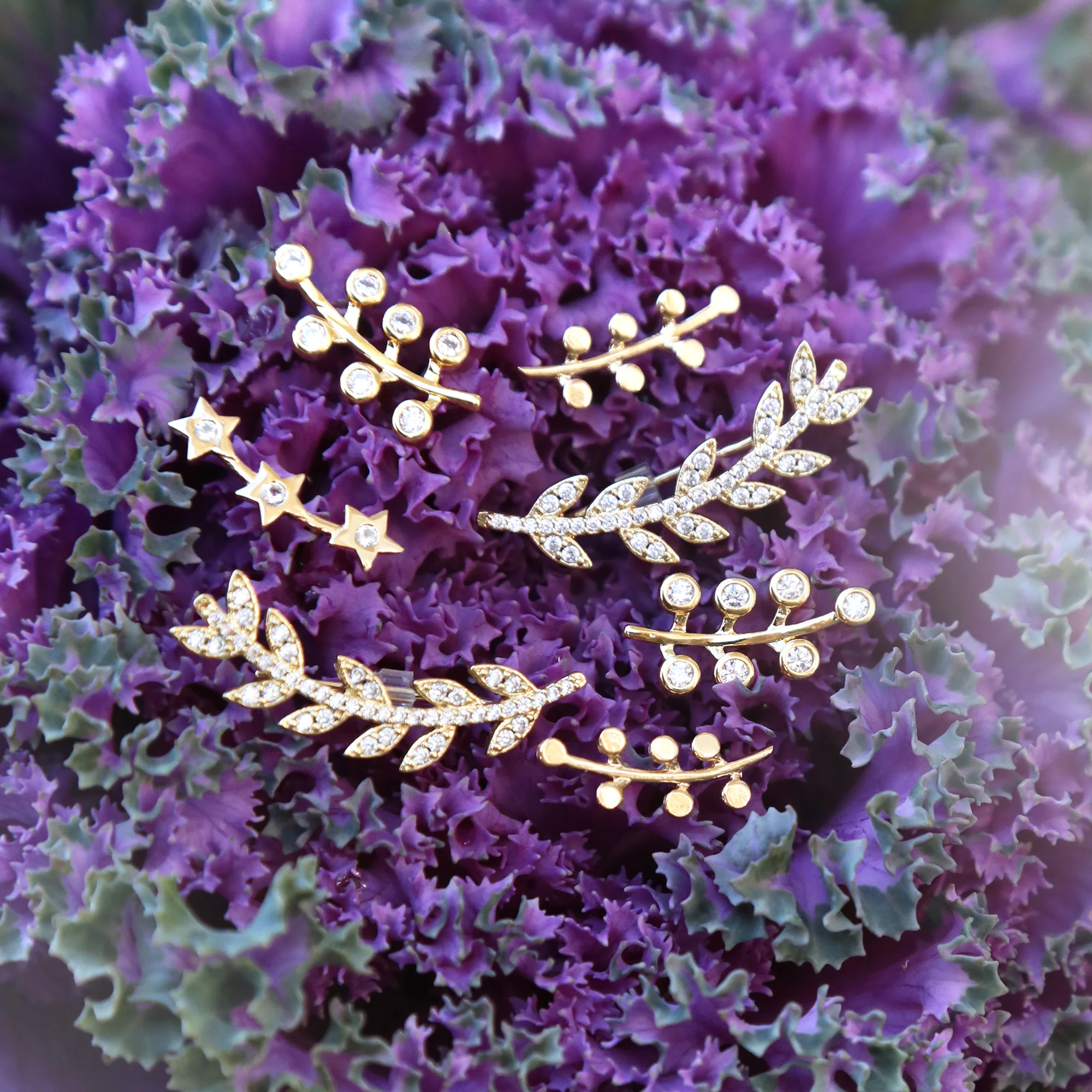 Laurel Climber - Image 3