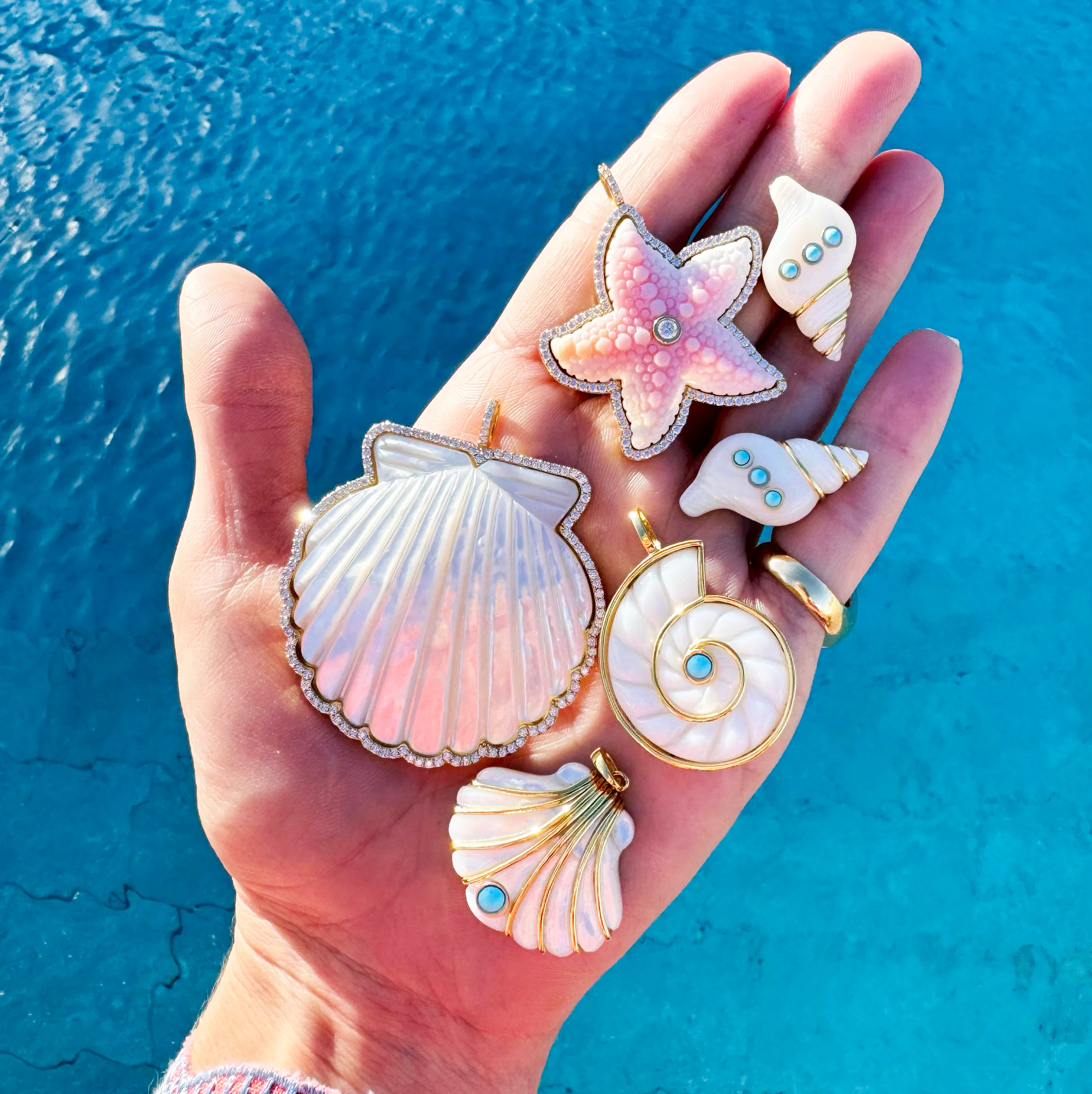 Seashell Stud - TQ - Image 3