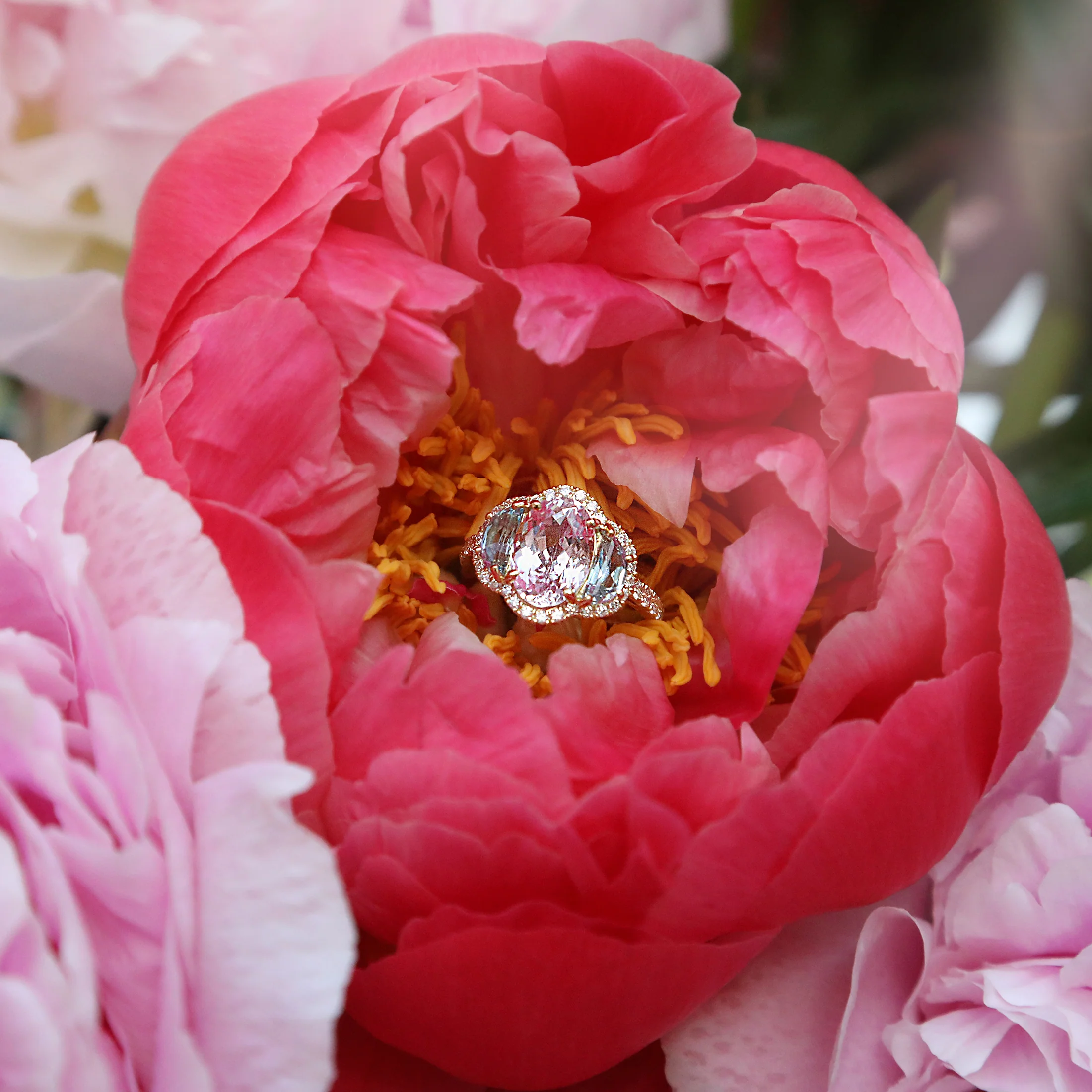 Tutti Frutti Ring - Image 3